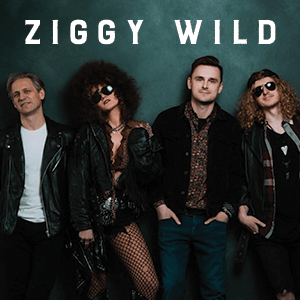 Ziggy WIld